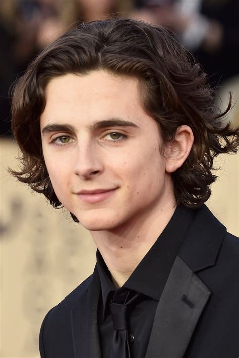 timothée chalamet best picture.